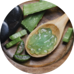 Aloe Vera Moisturizer