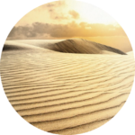 Desert Gold Wet Mud