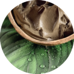 Green Sea Wet Mud