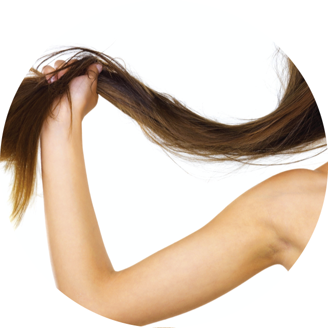 Healthy Hair Shampoo - Innovative Body Science