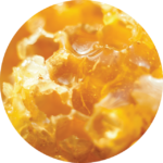Honey Almond Body Polish