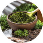 Marine Seaweed Powder