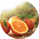 Orange Peel Exfoliating Body Masque
