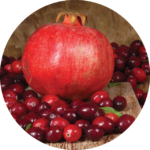 Cranberry Pomegranate Enzyme Masque
