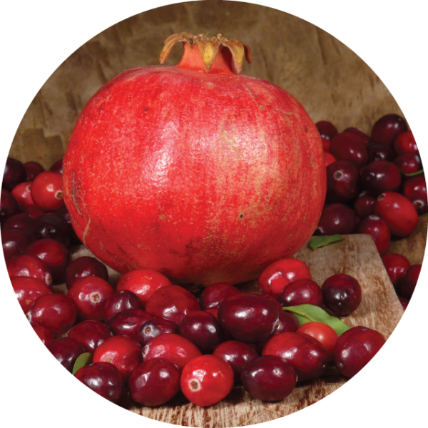 Cranberry Pomegranate Enzyme Masque